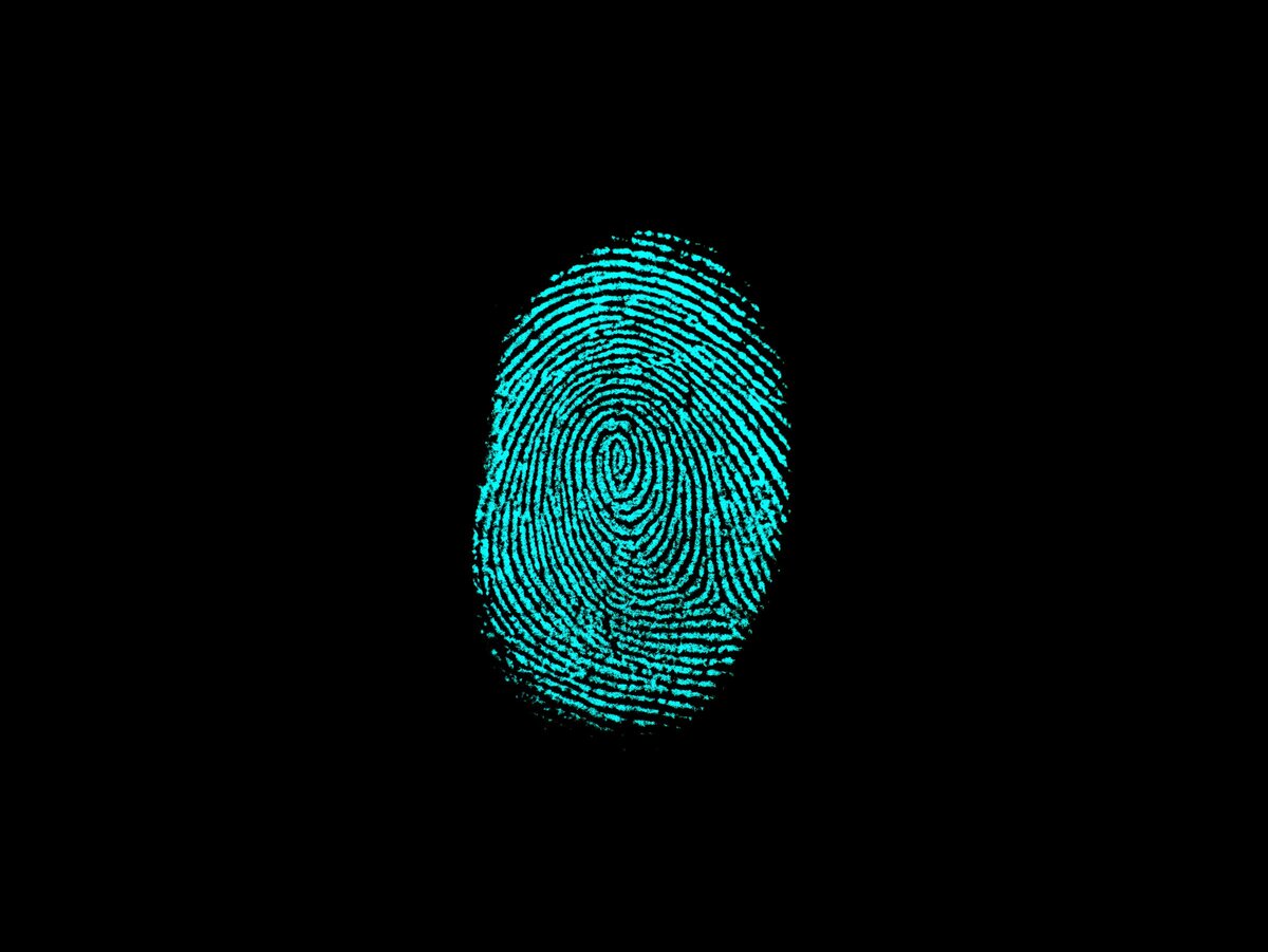 Отпечатки пальцев - это крошечные гребни и узоры на каждом вашем пальце. Эти фрикционные выступы присутствуют на ваших кончиках пальцев, ладонях, пальцах ног и подошвах! Отпечатки пальцев абсолютно уникальны для каждого человека.