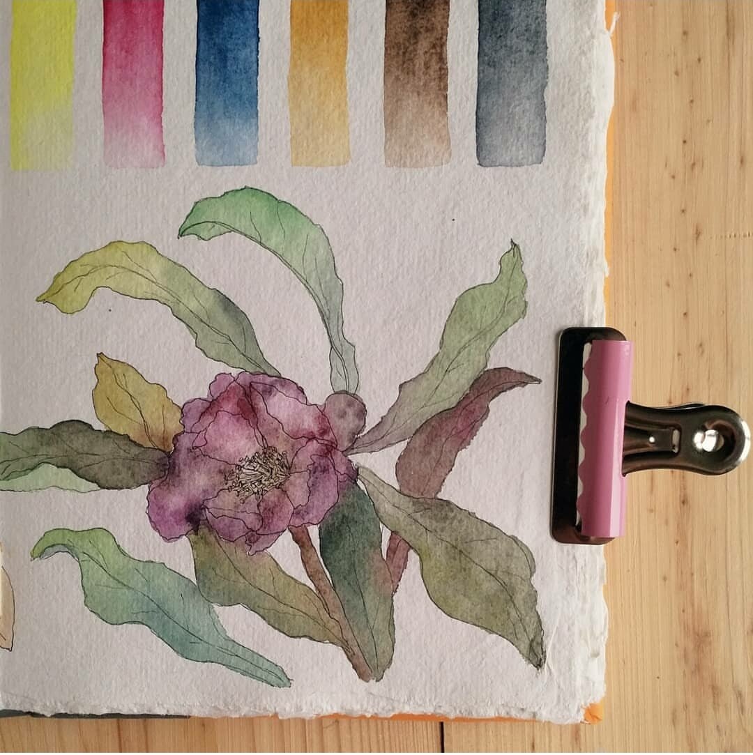 Иллюстратор PLUMandTEAL - Акварель ручной работы MOVEMOON