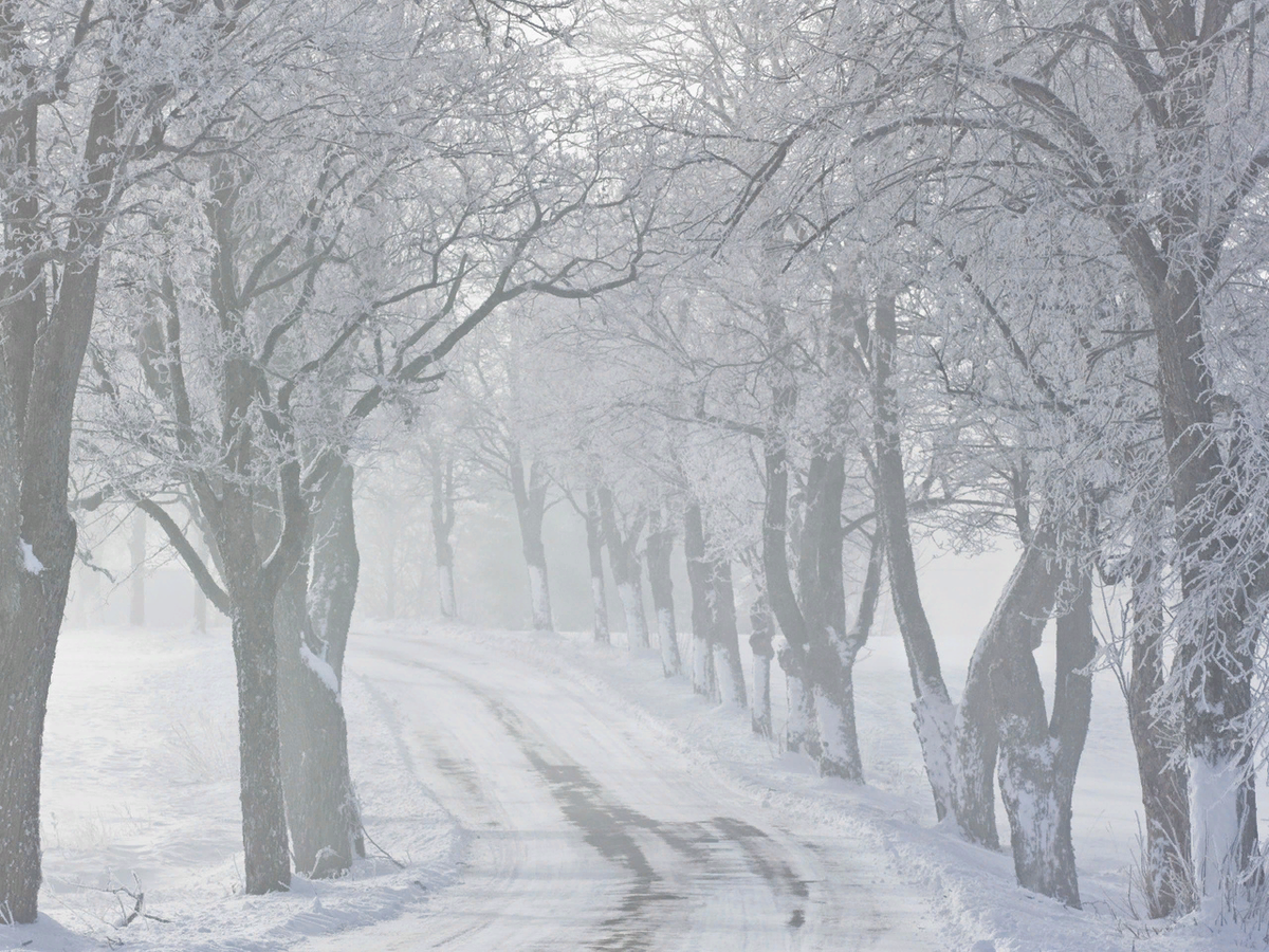 Фото из Яндекс Картинки