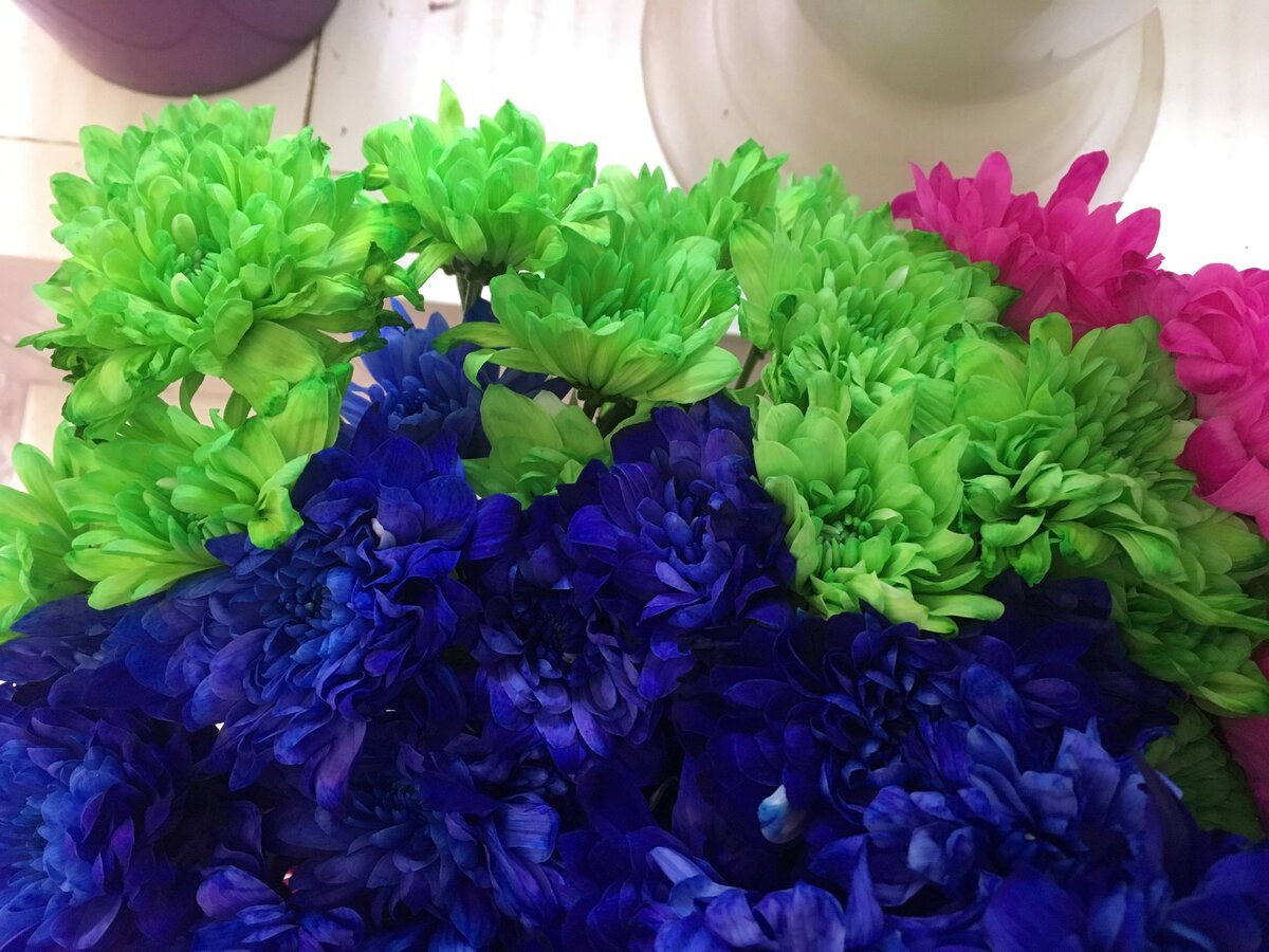 Все цветы - крашеные