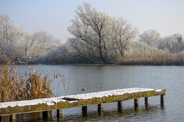 Фото: pixabay.com