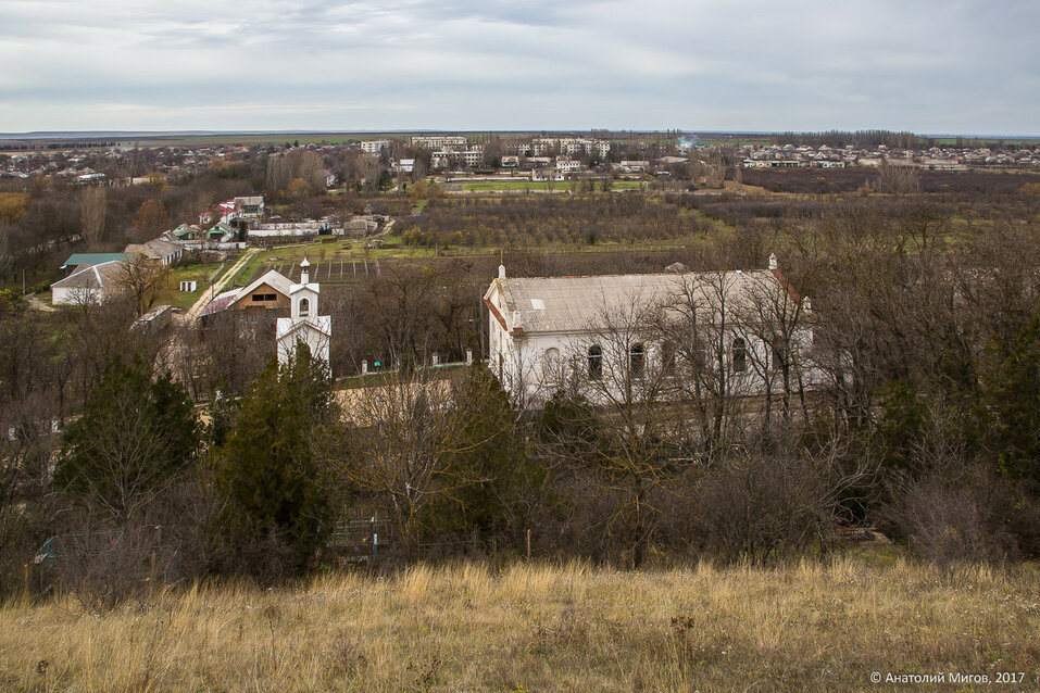 Золотое поле крым фото