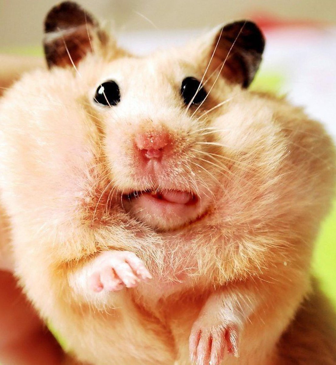 Источник: Яндекс Картинки