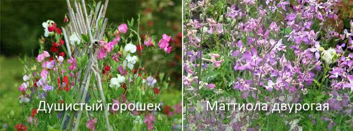 Источник: yandex.ua