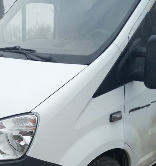 Газель Next / Фото автора