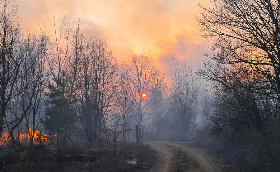 Фото взято из открытых источников