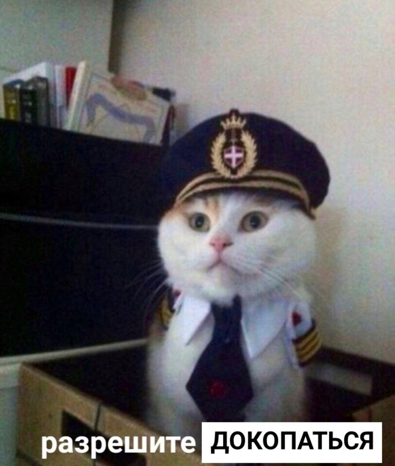 Мем в тему