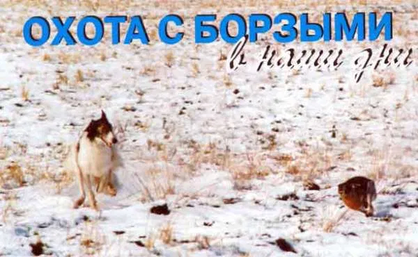 Фото Владимира Киселёва