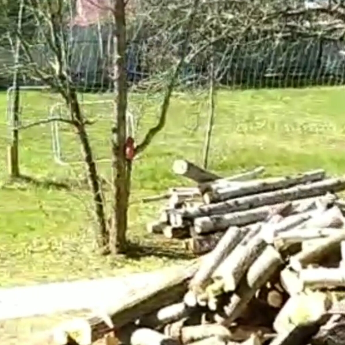 Дровишки есть, заготовлены.