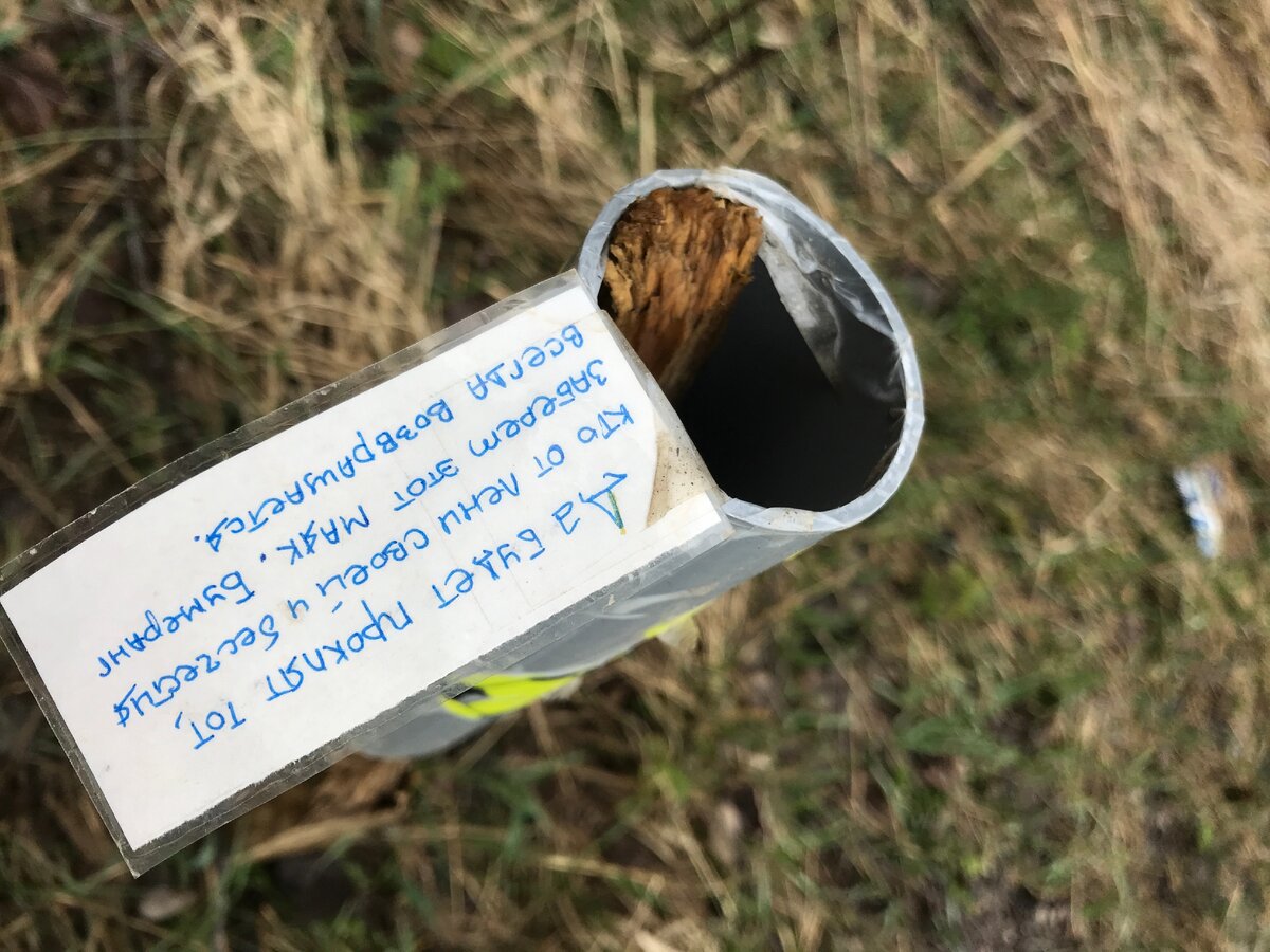 такие штуки начали попадаться повсеместно на обочинах и в полях -  крупнее чуть далее в тексте