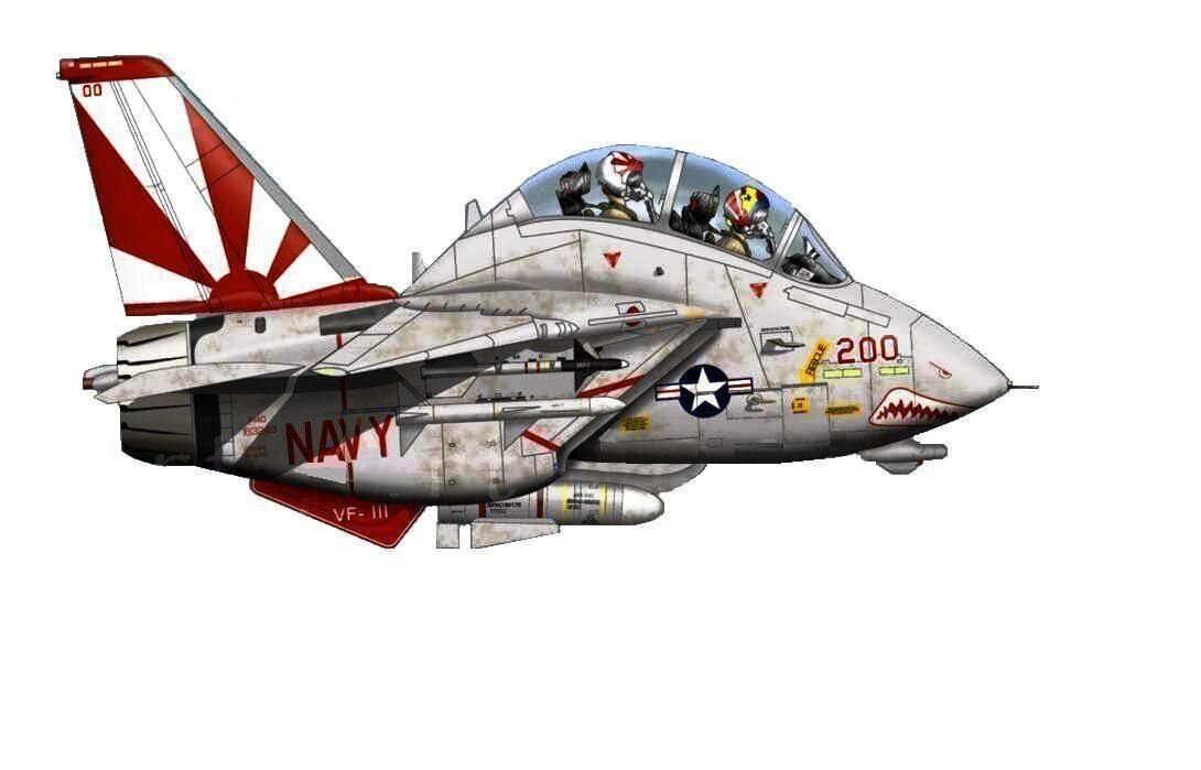   F -14 Tomcat (Источник изображения: Яндекс картинки) 