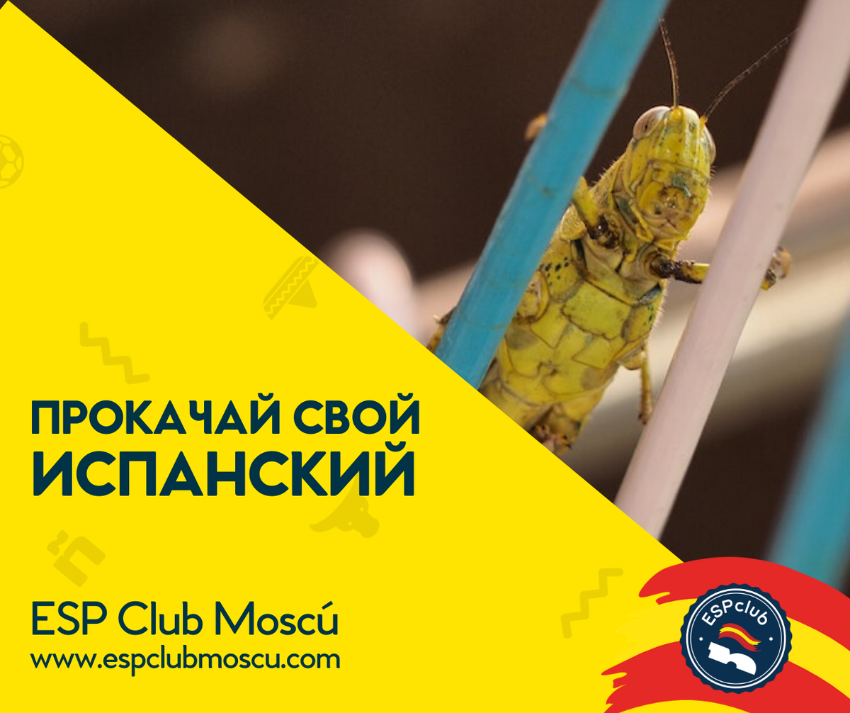 Прокачай свой испанский с Центром испанского языка и культуры ESP Club Moscu