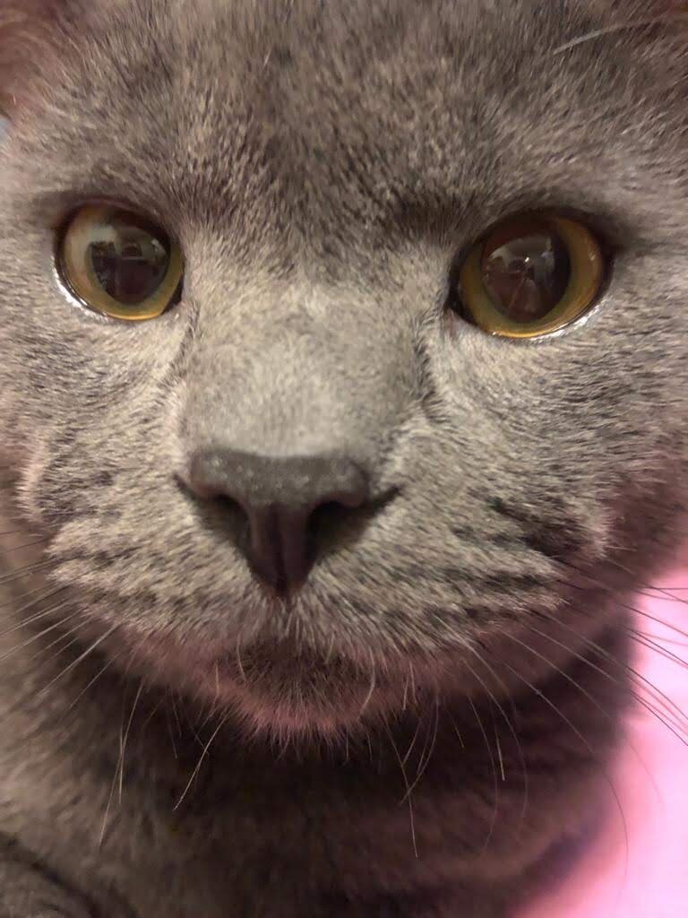 Фото из личного архива. IMG-20200502-WA0011