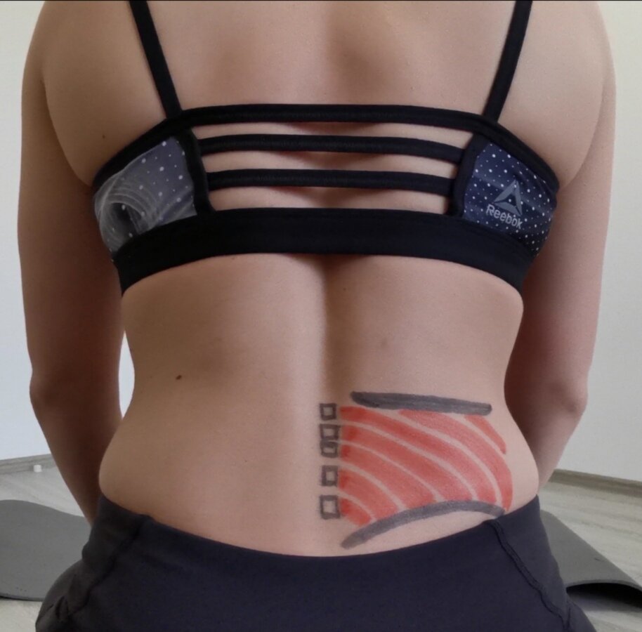 Квадратные мышцы поясничного отдела находятся по обе стороны позвоночника в нижней части спины. Их задача возвращать позвонки поясничного отдела в нейтральное положение. 