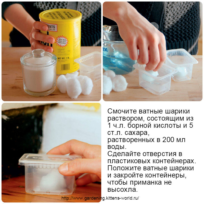 Приманка для муравье работает!