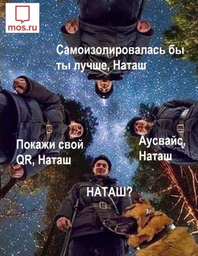изображение с яндекс картинок