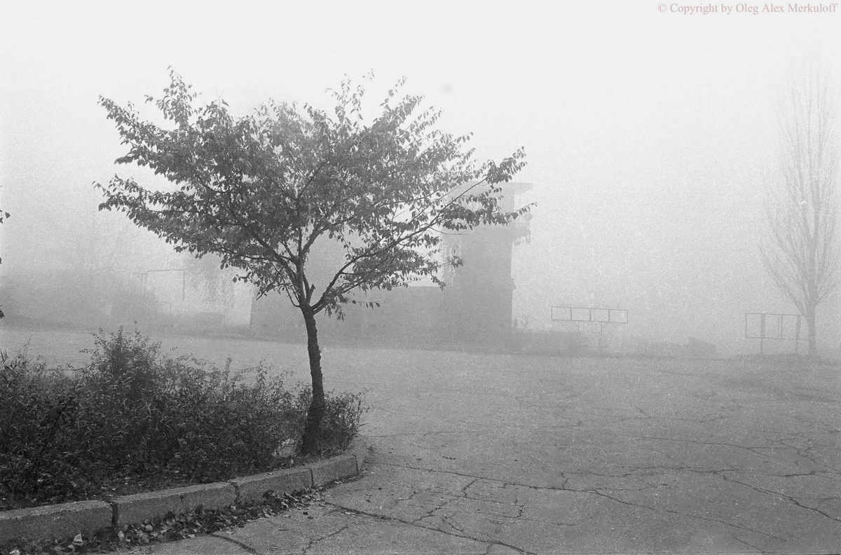 Фото из интернета