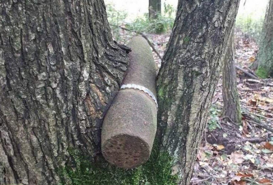 Застрявший снаряд