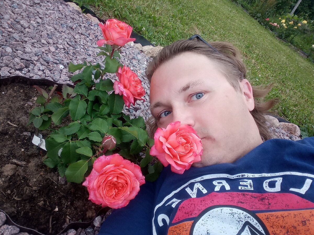 Фото автора Роза Эмельен Гайо  Флорибунда