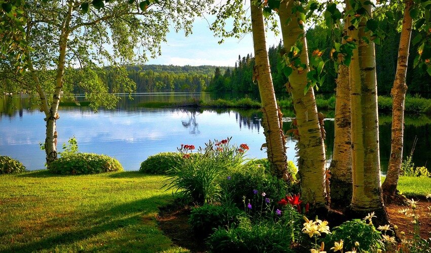 Фото: pixabay.com