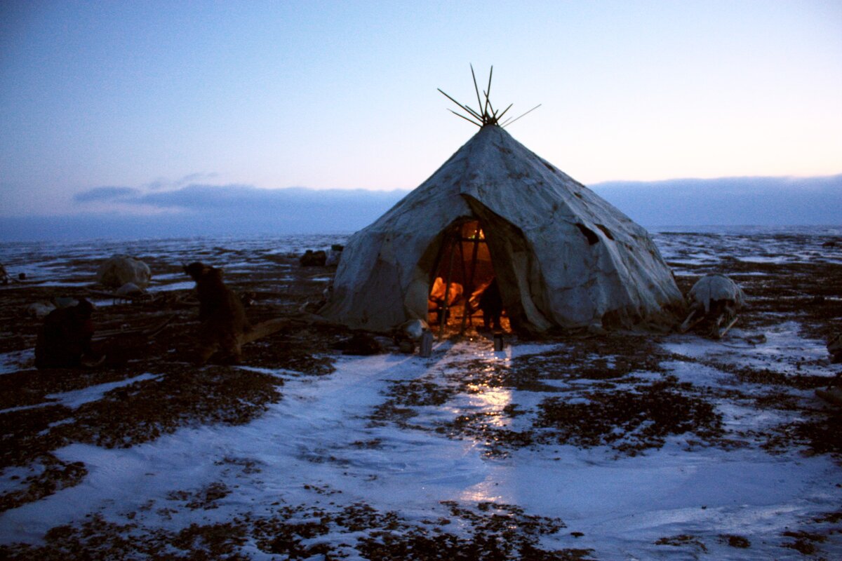 из яндекс картинки