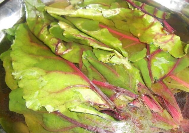 Долма (сарма) в свекольных листьях: нежнейшая и вкуснейшая