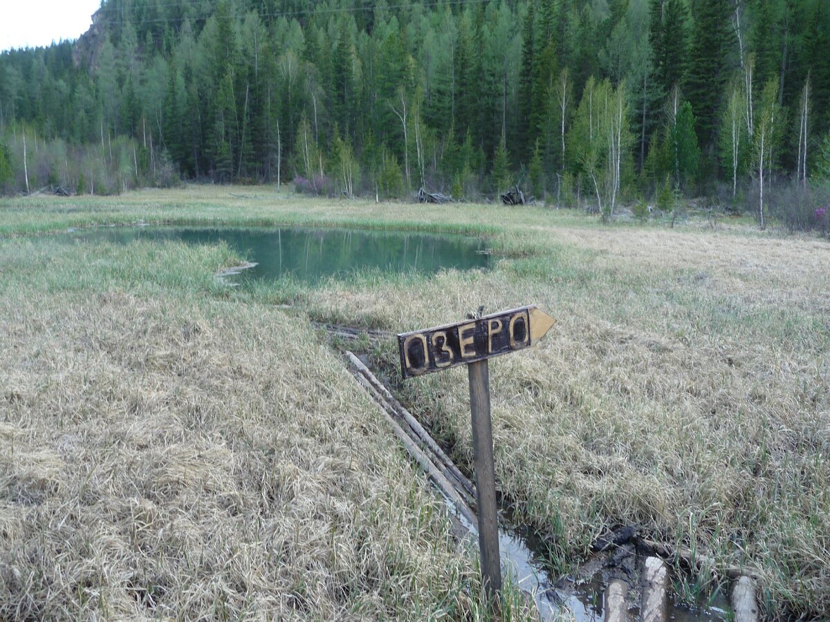 болото,болото..