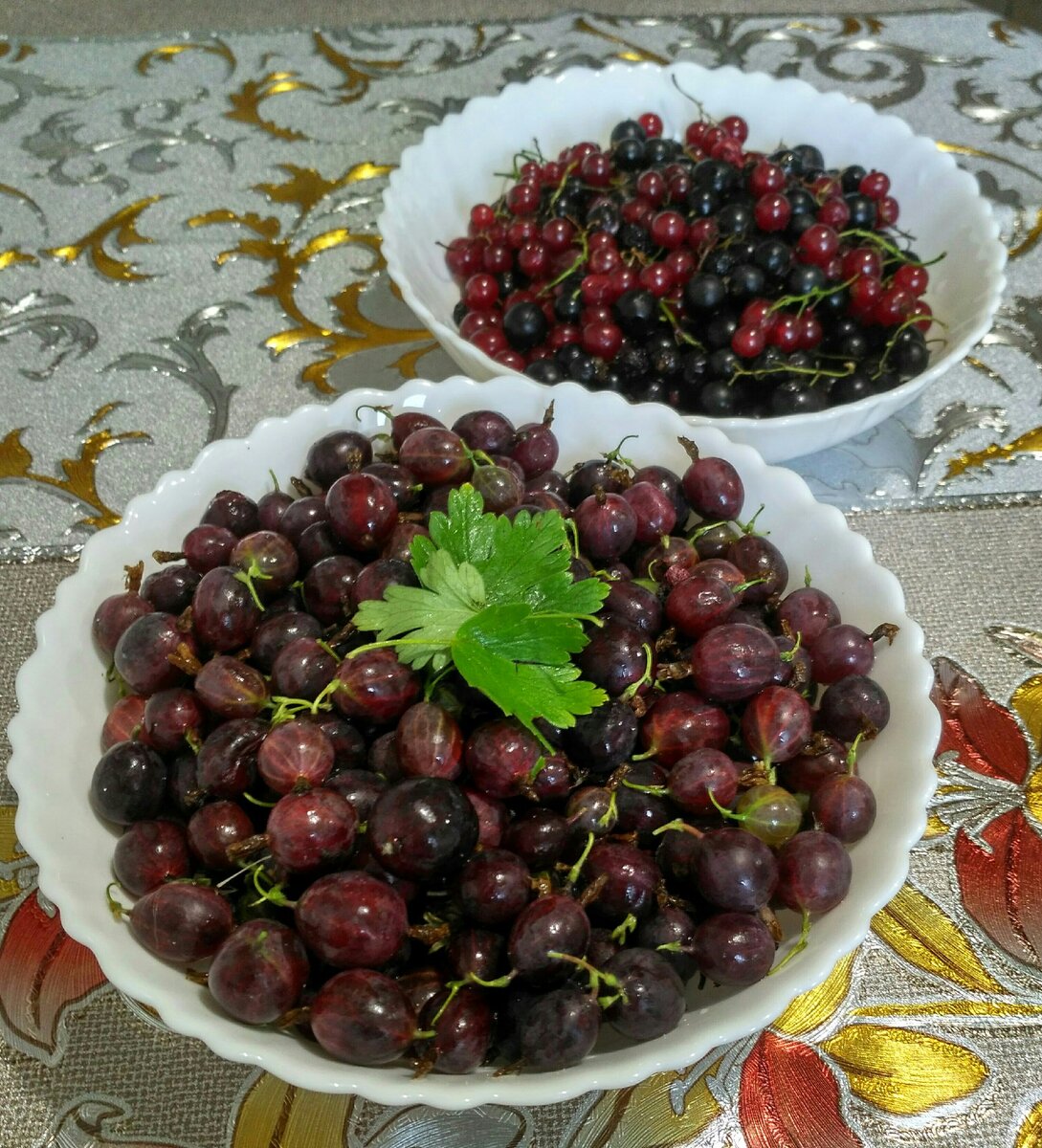 Смородина, крыжовник. Краски лета.