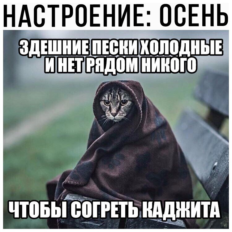 Ни никого не похожа