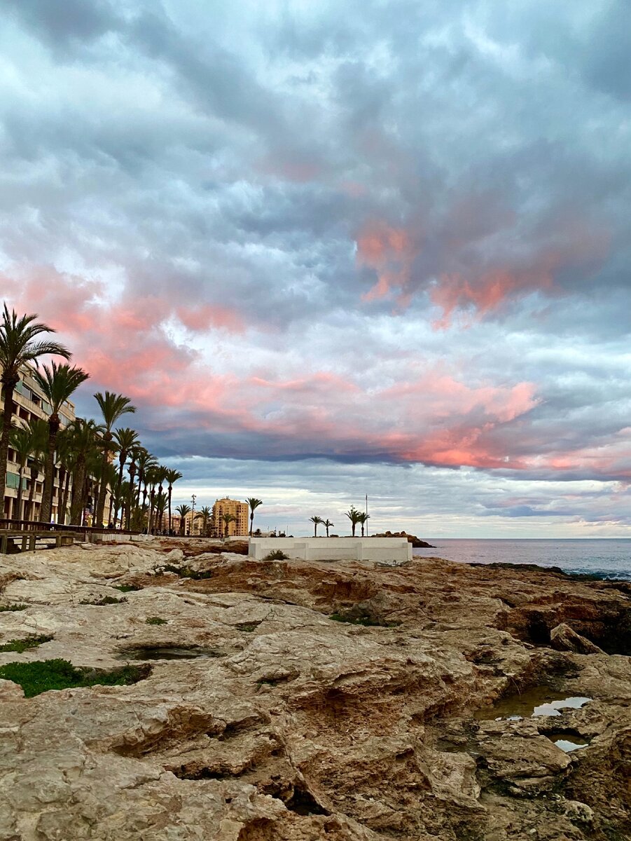 Утро перед донацией