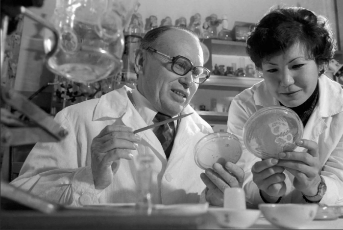 Фото из открытых источников Яндекс Картинки