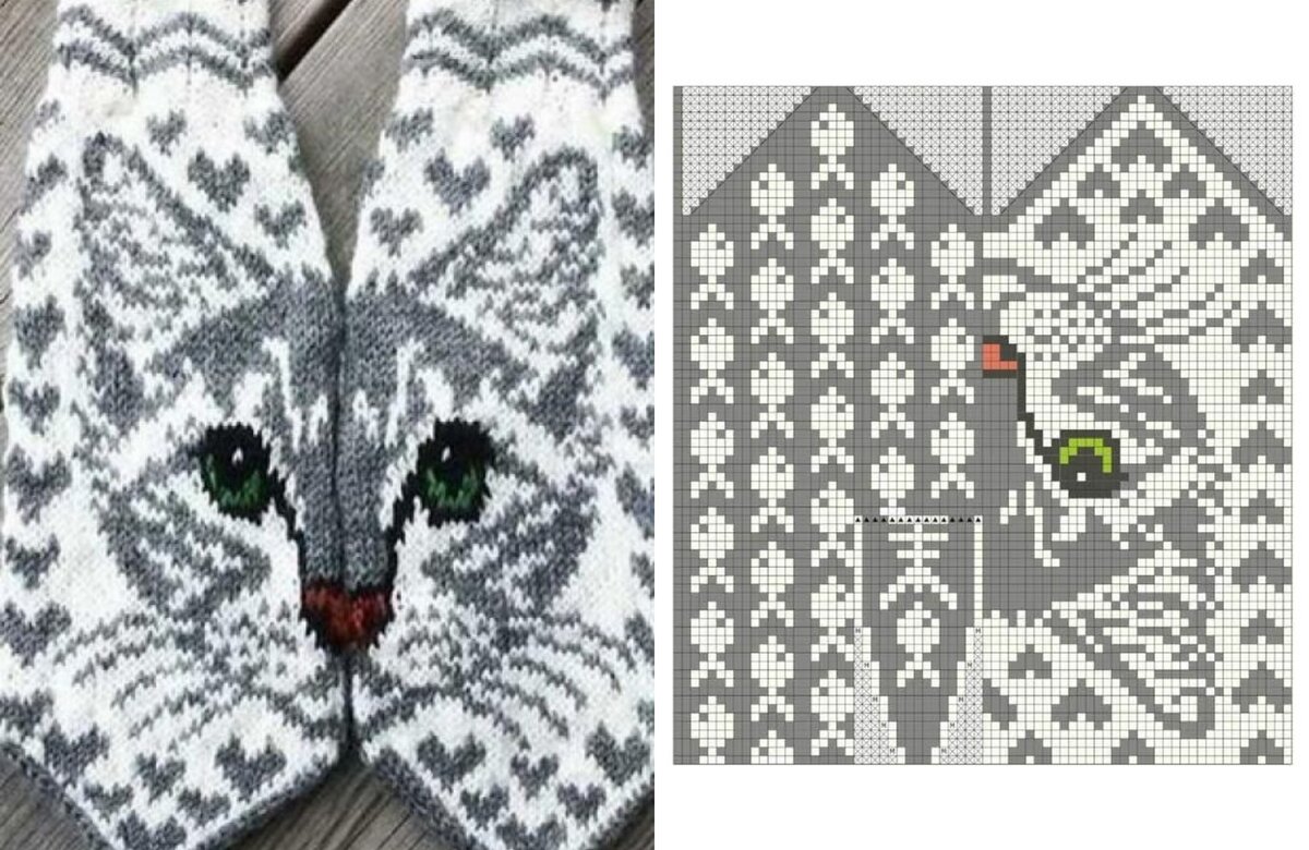 "Котик - обормотик"