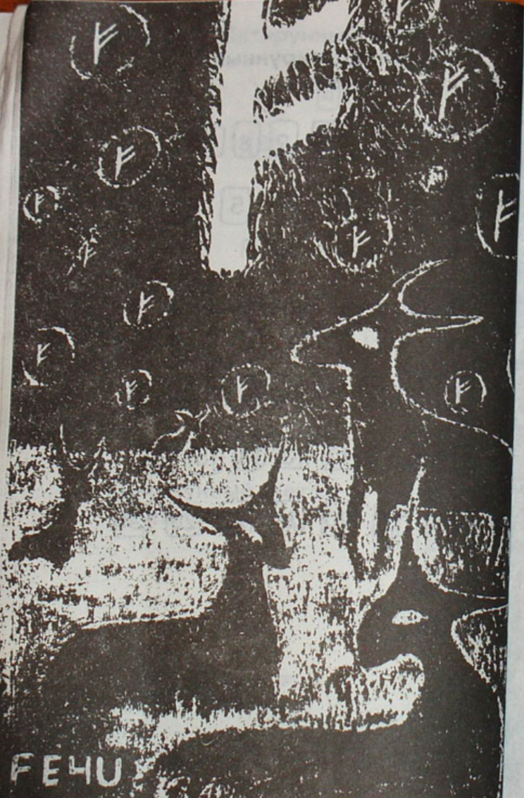 Фото из книги Адити. Руна Феху.