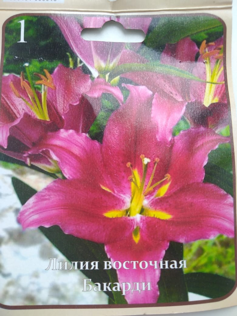 красивая, не так ли?