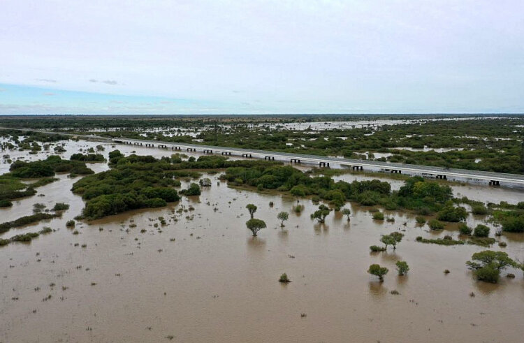 Катастрофический ущерб не только у людей/ Фото: primorsky.ru
