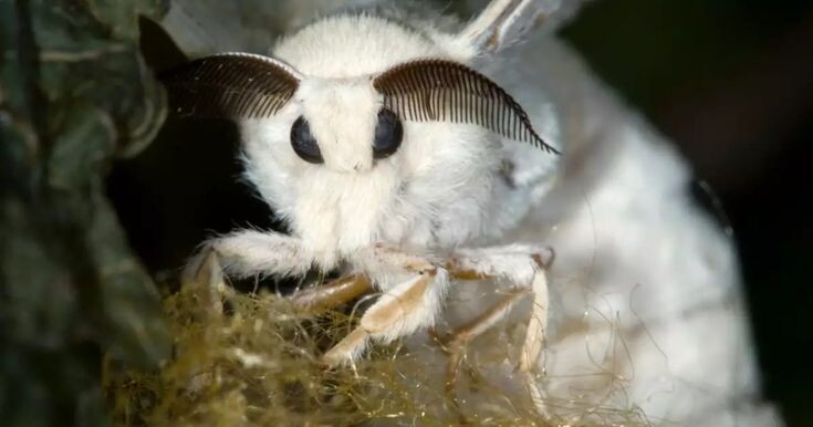 Фото из яндекс 