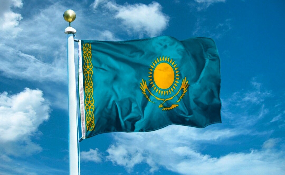 Источник фото - Яндекс.Картинки