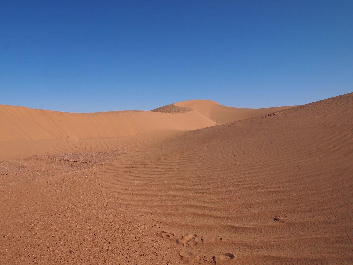Пустыня Сахара зимой или 50 оттенков песочного и один голубой | Сама себе  турагент | Дзен