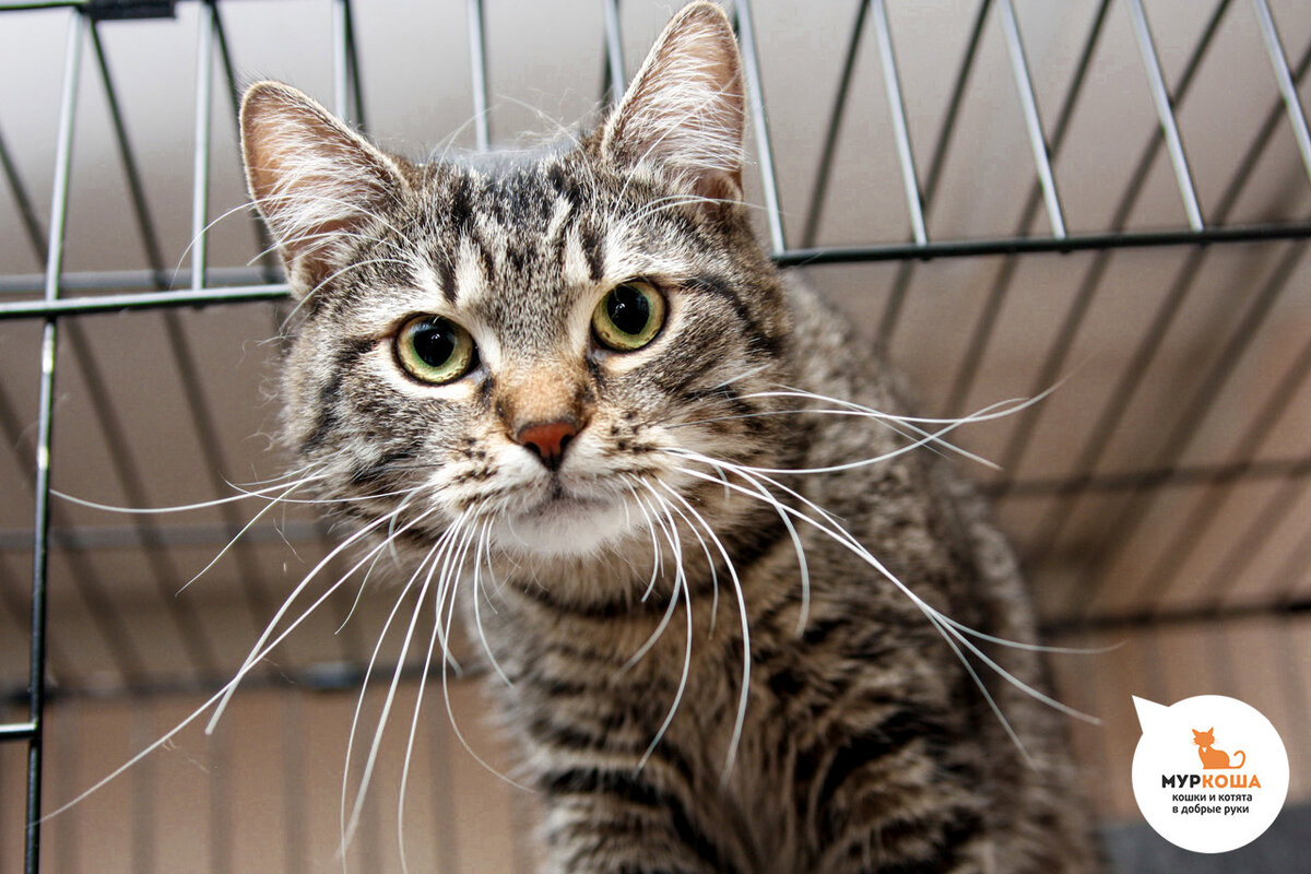 Луана, 1 год