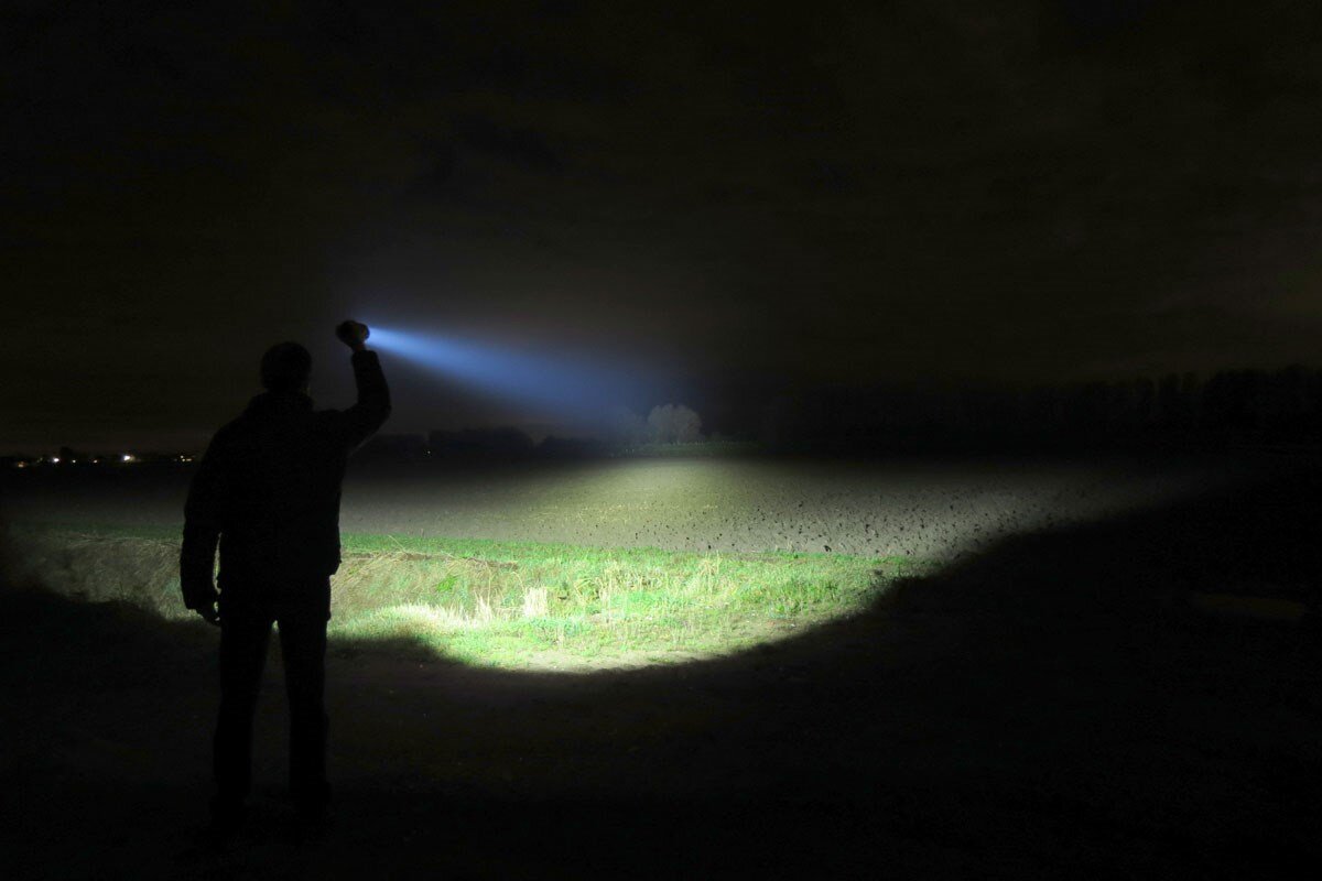 Фото без авторских прав.