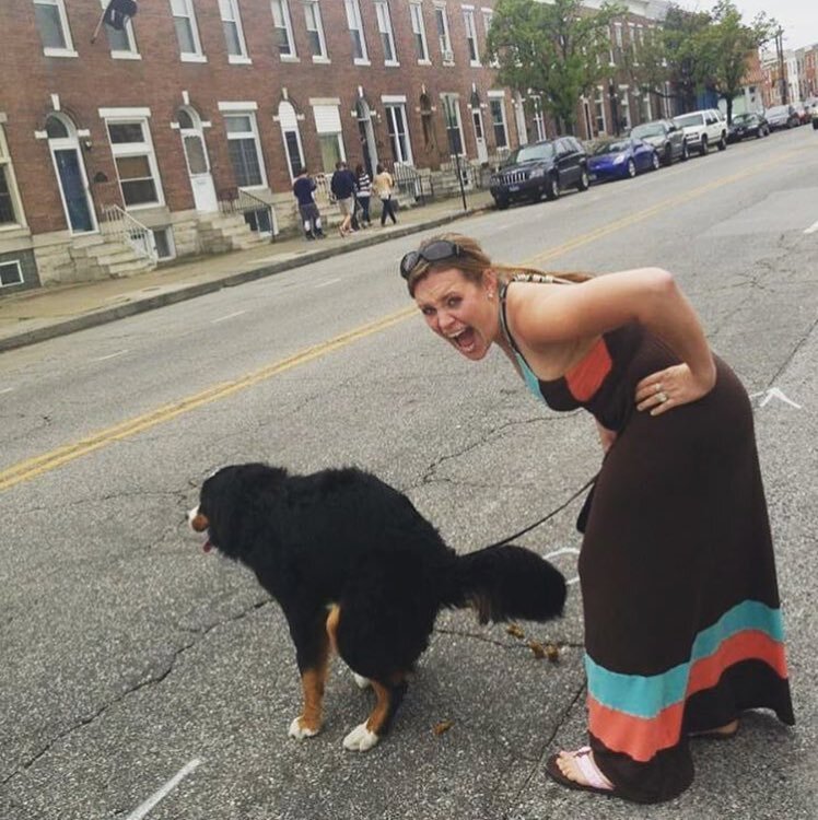 Реакция на собаку которая ходит в туалет на улице