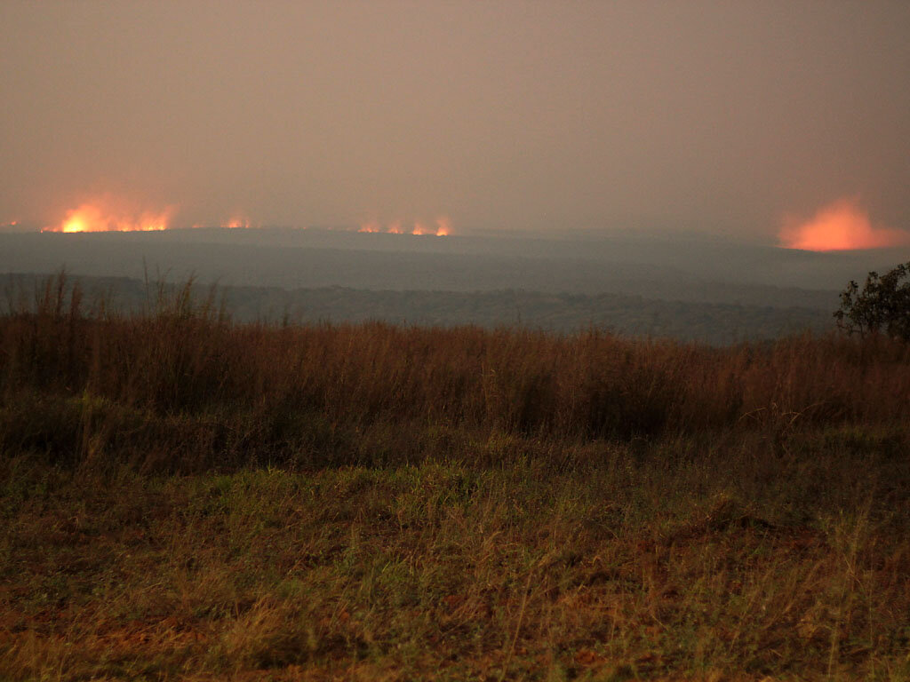 Ангола. Саванна.