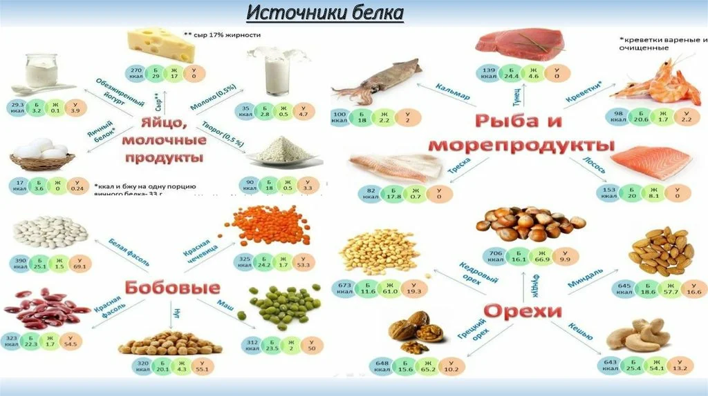 Белок 1 это много. Источники белка в питании таблица. Основные пищевые источники белка. Перечислите продукты, богатые источники полноценного белка.. Продукты содержащие животные белки.