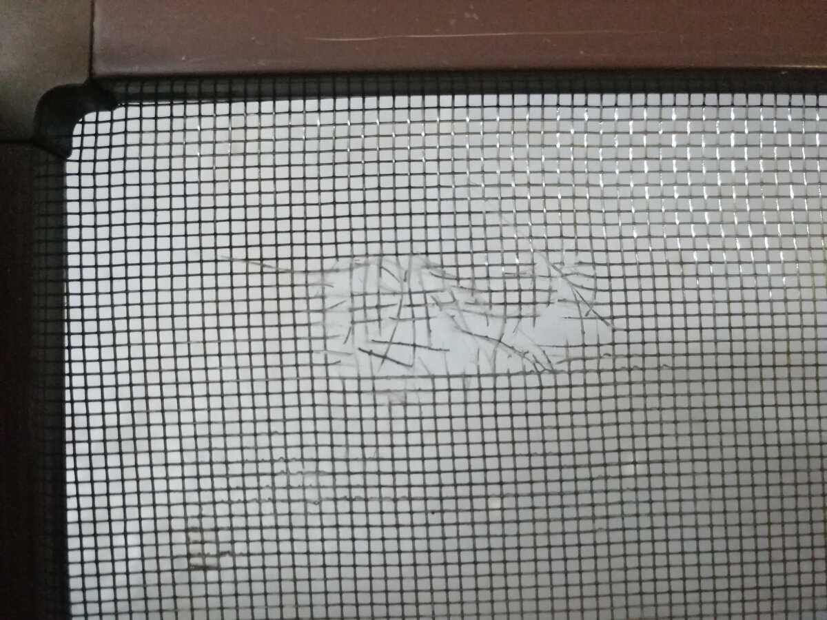 Дырка в москитной сетке