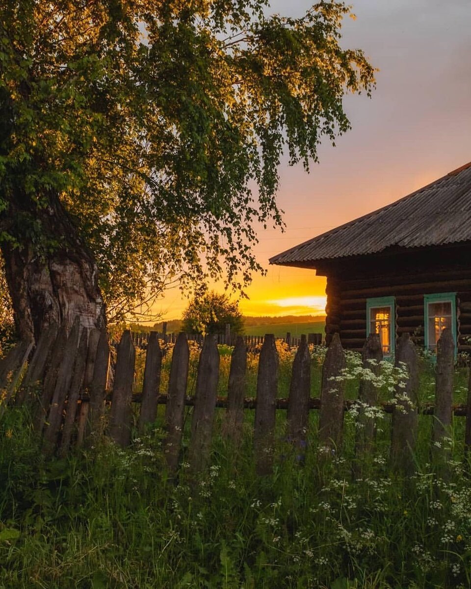 Планы на лето в деревне