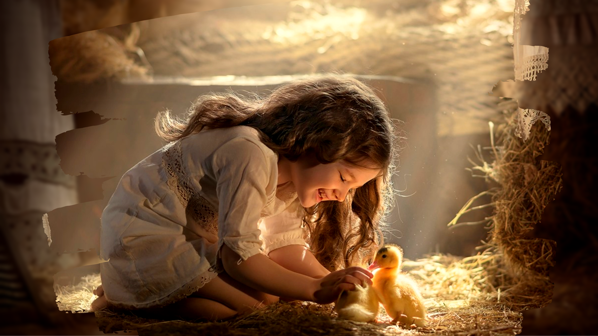 Коллаж создан автором канала в Canva