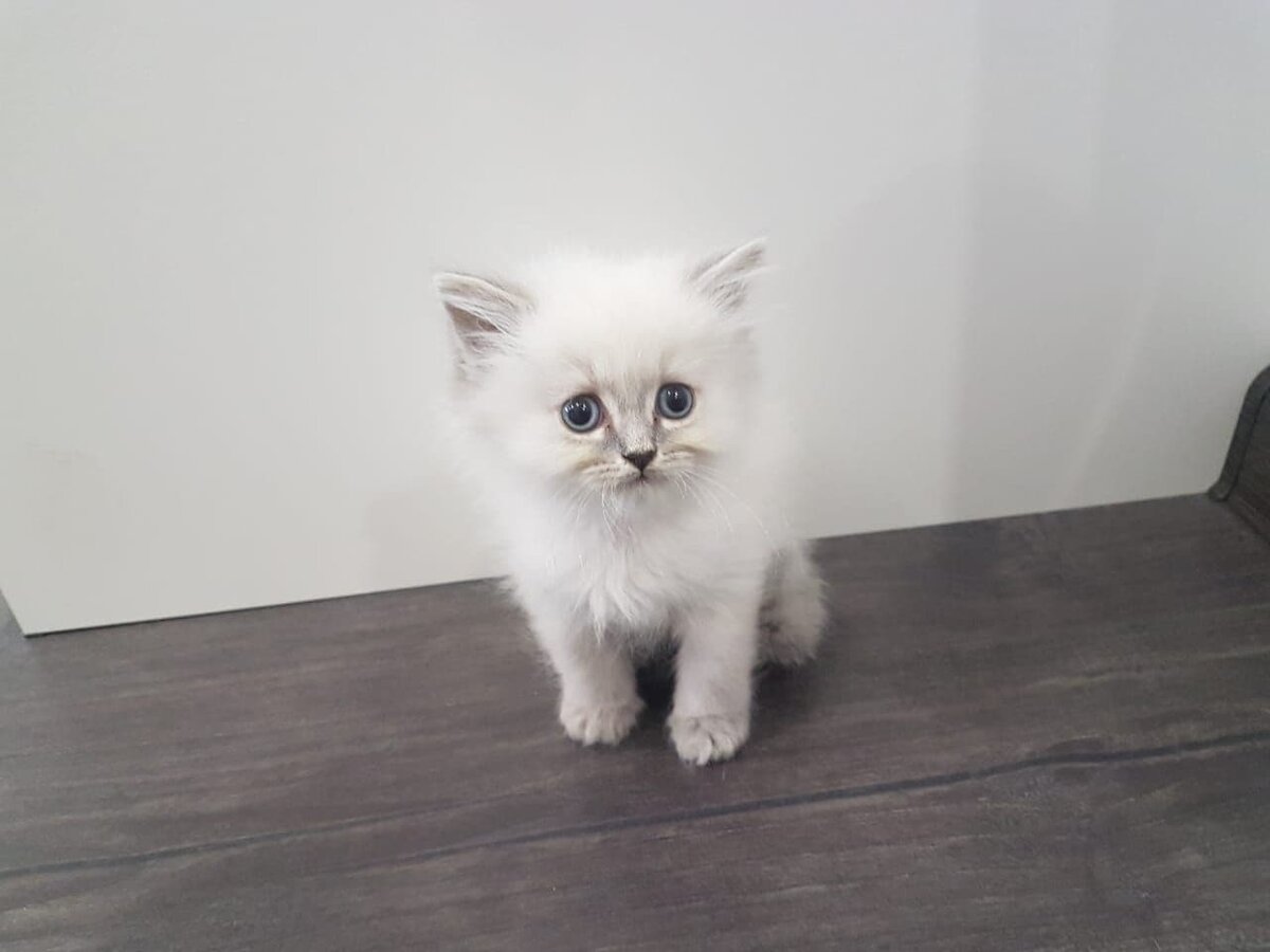 На фото ей всего 1,5 месяца.