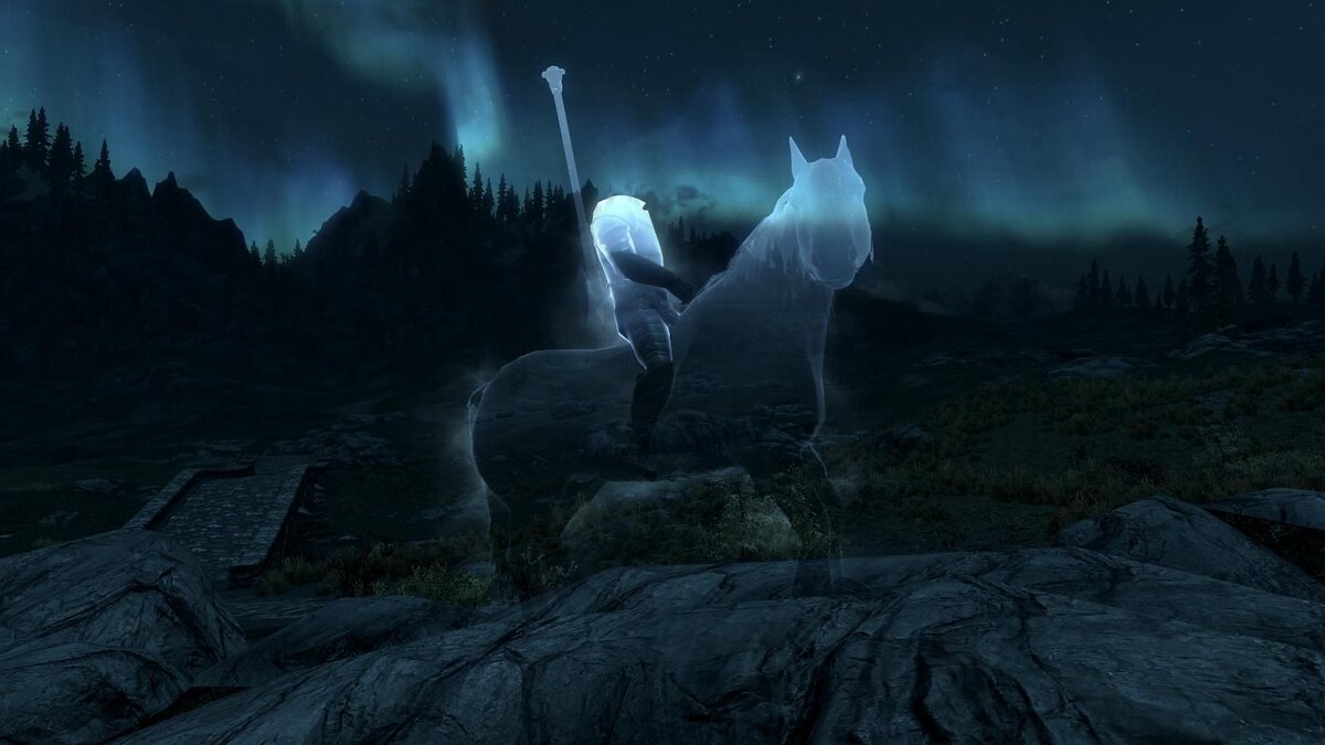 Внешний вид всадника