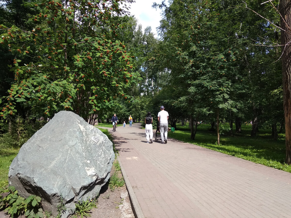 Родители с детьми гуляют.