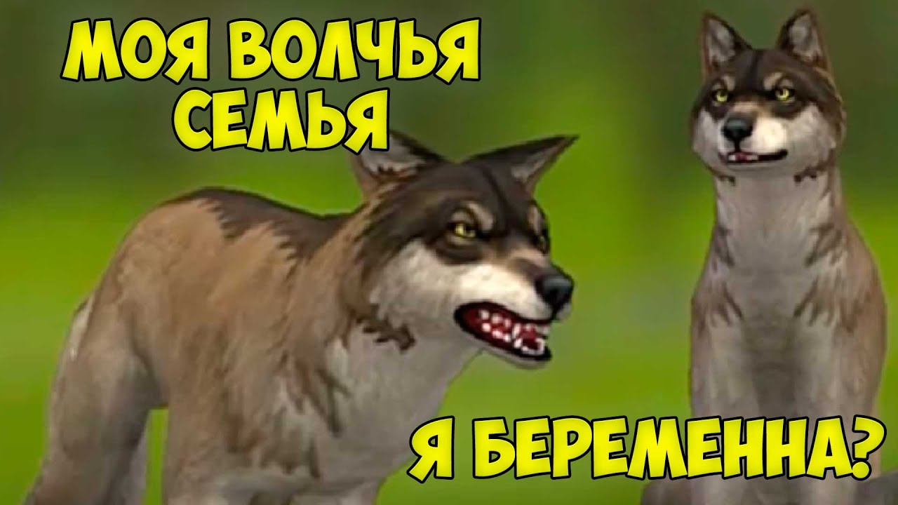 Симулятор жизни Зверей - я беременный Волк в вайлд крафт #1